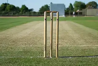 Fortune cricket pitch