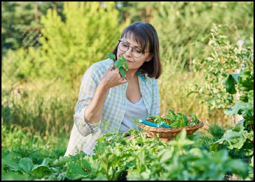 HERBAL GARDEN